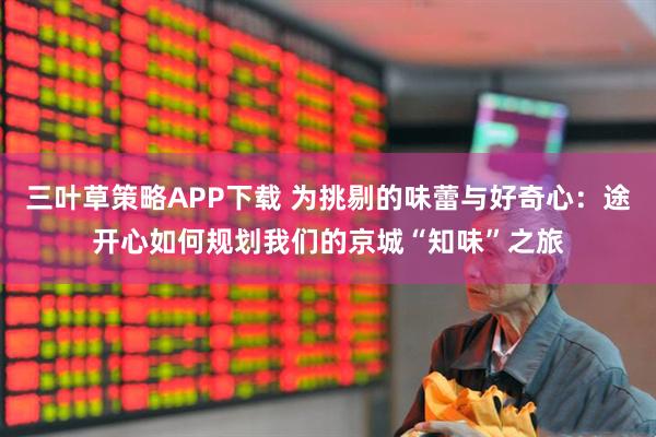三叶草策略APP下载 为挑剔的味蕾与好奇心：途开心如何规划我们的京城“知味”之旅