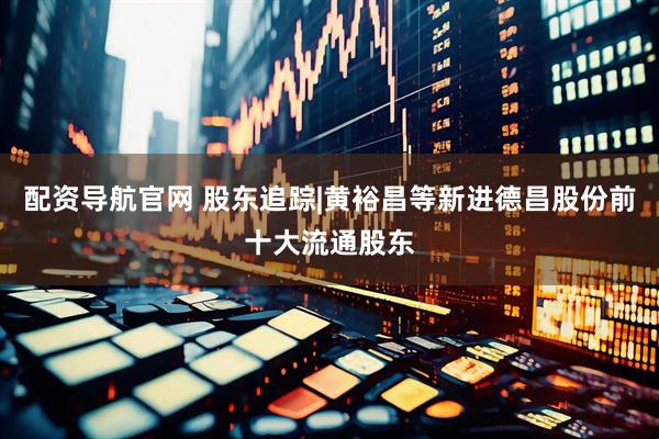 配资导航官网 股东追踪|黄裕昌等新进德昌股份前十大流通股东