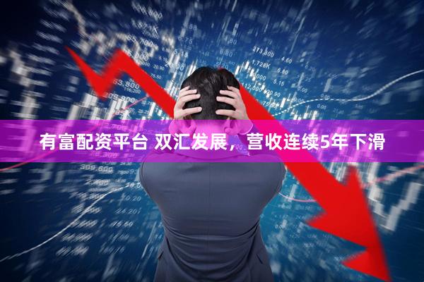 有富配资平台 双汇发展，营收连续5年下滑